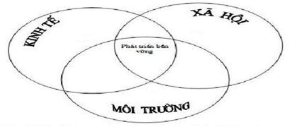 Phát triển bền vững trong chuỗi cung ứng tại Việt Nam trong giai đoạn COVID-19 - Ảnh 6
