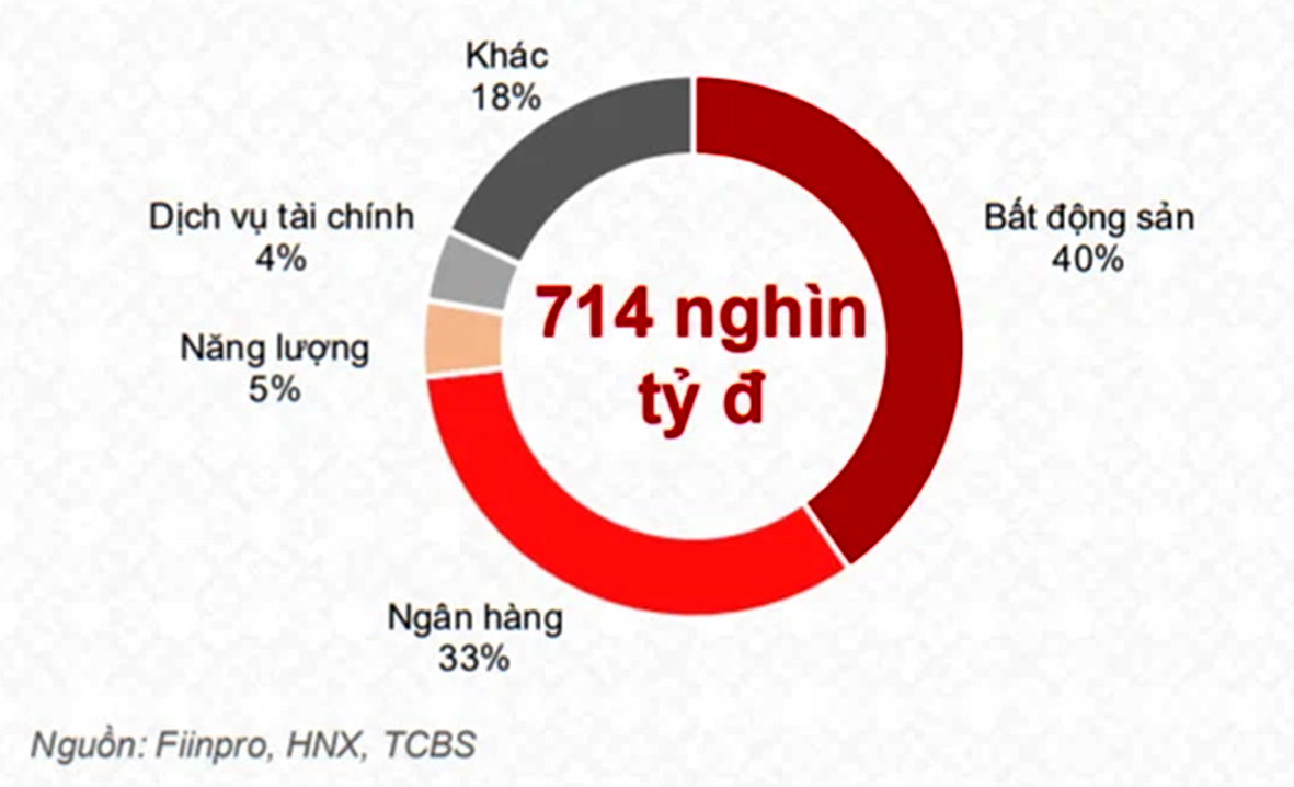 Biểu đồ cơ cấu phát hành trái phiếu đầu năm 2022 