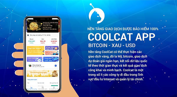 Sự đổ vỡ của Cool Cat app dưới mô hình “bảo hiểm vốn” đã khiến hàng nghìn nhà đầu tư không thể truy cập app, không thể rút tiền cũng như không có đầu mối liên hệ