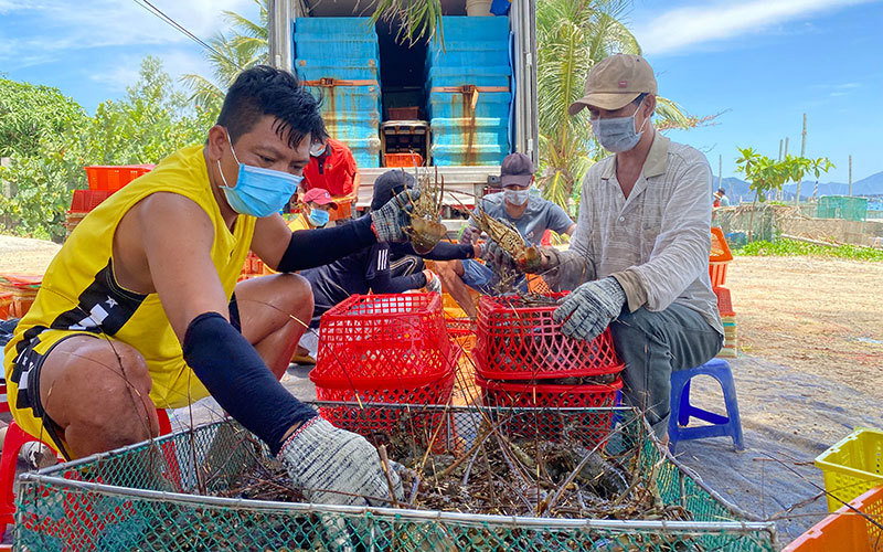 Ảnh minh họa. Nguồn: Internet