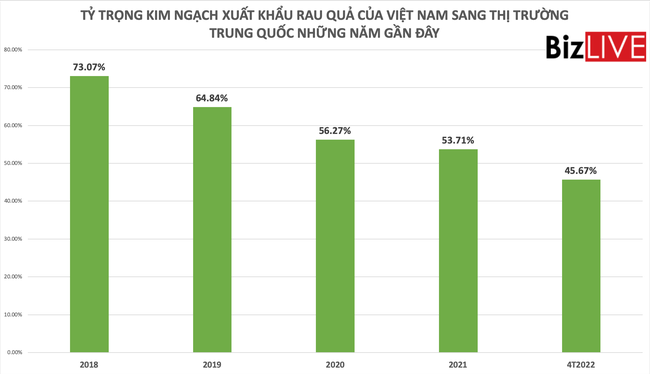 Giảm dần ở Trung Quốc, rau quả Việt Nam tăng sang Mỹ - Ảnh 1