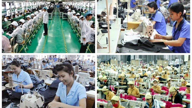 Thị trường lao động đang dần phục hồi.