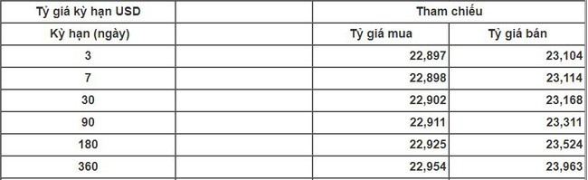 Giá USD tại các ngân hàng tăng mạnh theo tỷ giá trung tâm - Ảnh 1