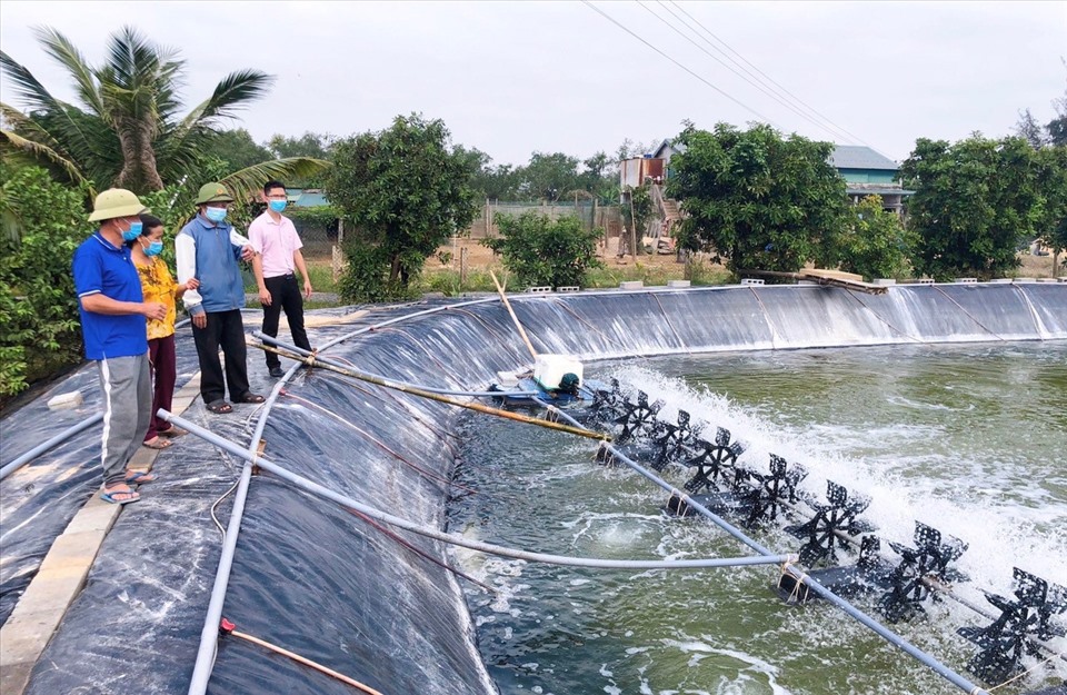 Nguồn vốn chính sách giúp các hộ dân đầu tư nuôi trồng thủy sản, phục hồi kinh tế sau đại dịch. 