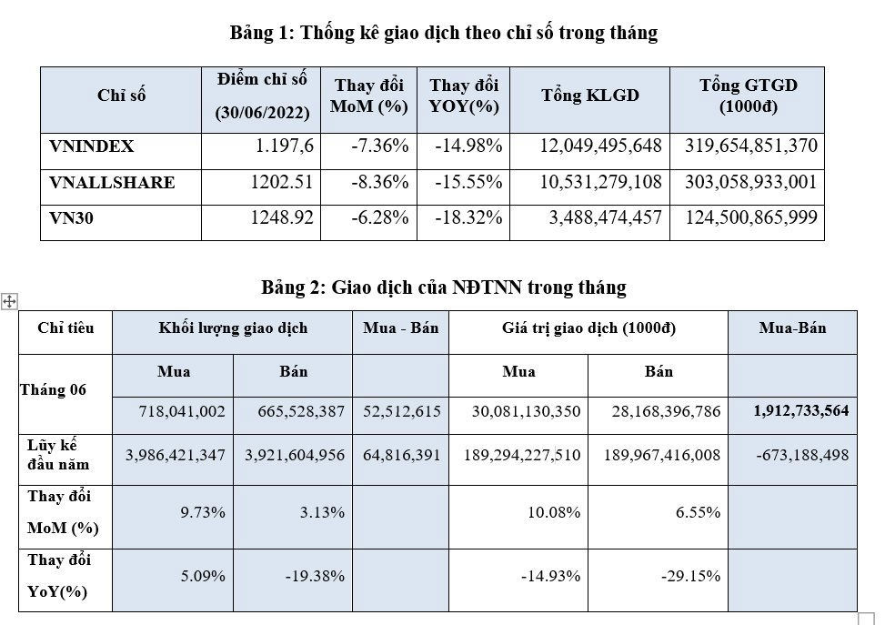 VN - Index chốt tháng 6 với 1.197,6 điểm, giảm 20,07% so cuối năm 2021 - Ảnh 1
