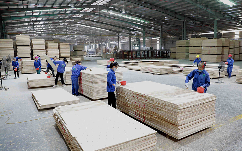 Phát triển thương mại lâm sản bền vững - Ảnh 1