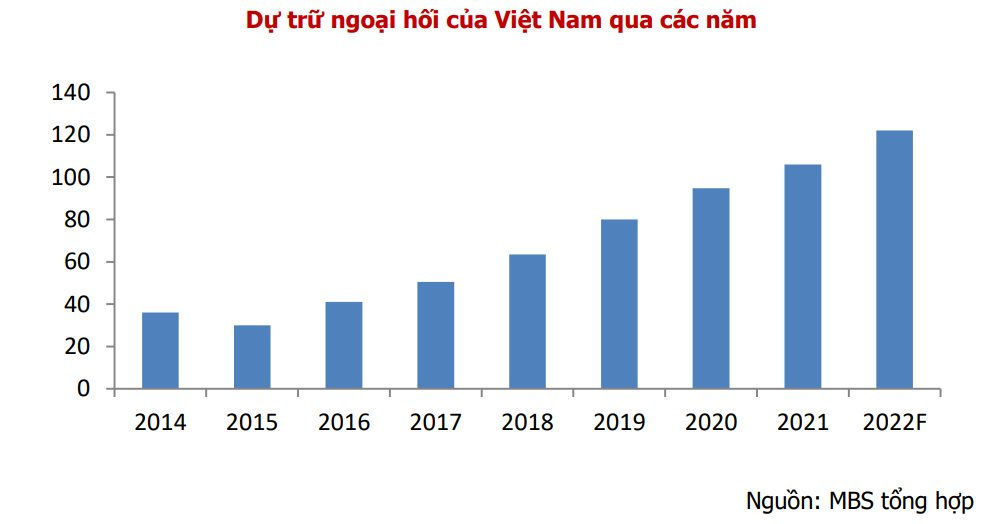 Áp lực tỷ giá tăng nhưng không đáng quan ngại - Ảnh 1