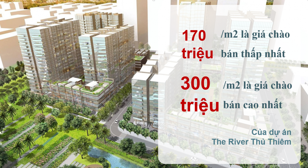 Nhìn thẳng vào giá nhà tại TP. Hồ Chí Minh - Ảnh 1