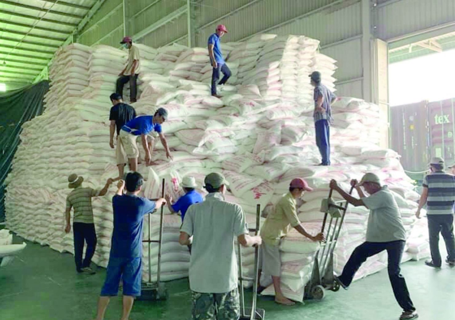 Gạo chế biến, sản xuất tại Long An xuất khẩu sang khoảng 40 nước trên thế giới (Ảnh tư liệu)