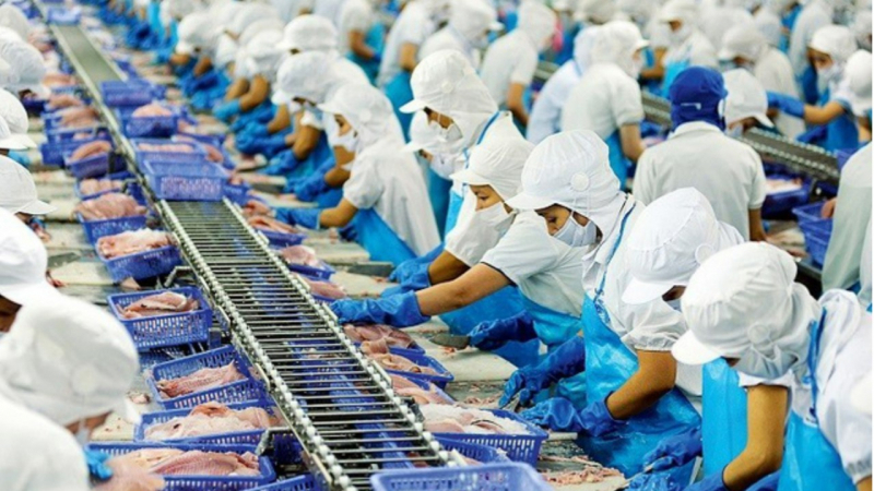 7 tháng đầu năm, doanh nghiệp thủy sản phía Nam xuất khẩu tăng 80% so với cùng kỳ năm ngoái.