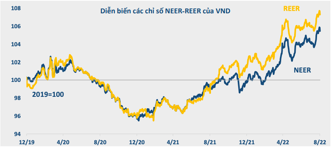Nguồn: BVSC