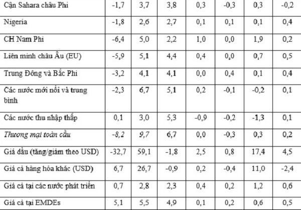 IMF điều chỉnh giảm triển vọng kinh tế toàn cầu năm 2021 - Ảnh 2