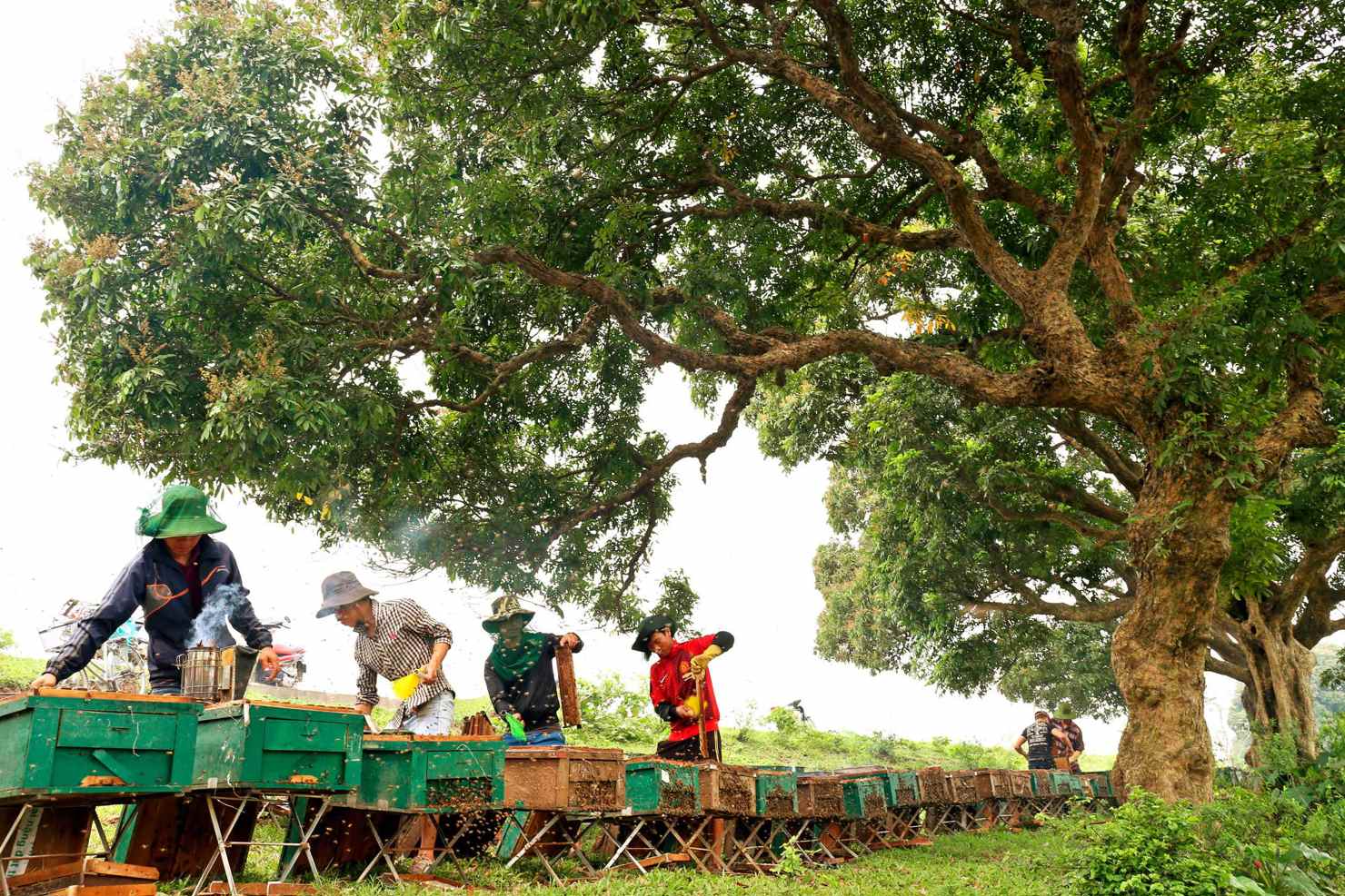 Tỉnh Hưng Yên với những biến đổi về địa giới hành chính - Ảnh 1
