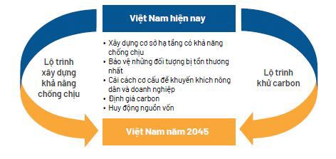 Phát triển nền kinh tế carbon thấp, có khả năng chống chịu với khí hậu - Ảnh 1