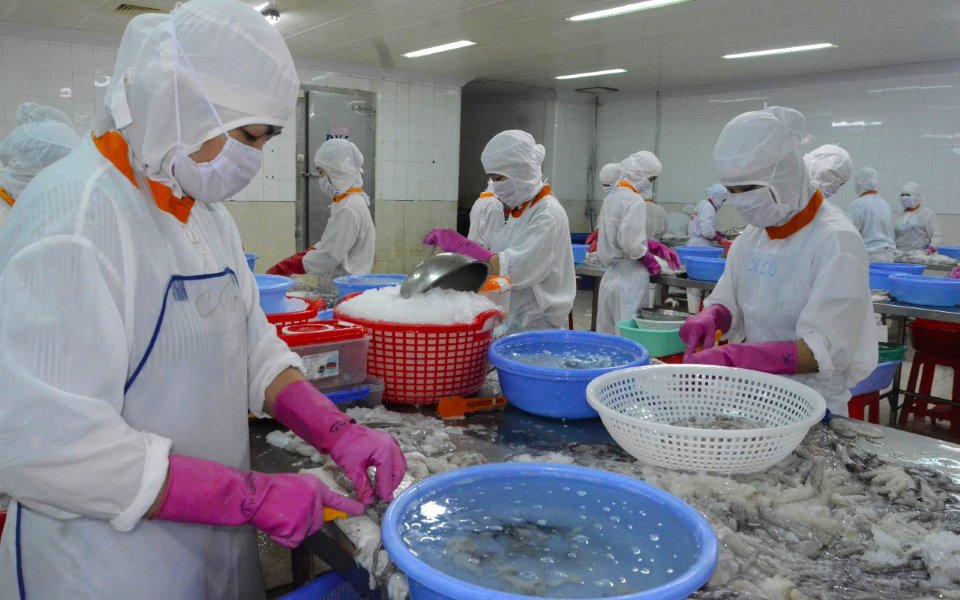 Xuất khẩu thủy sản là một trong những thế mạnh của tỉnh Kiên Giang. Ảnh: