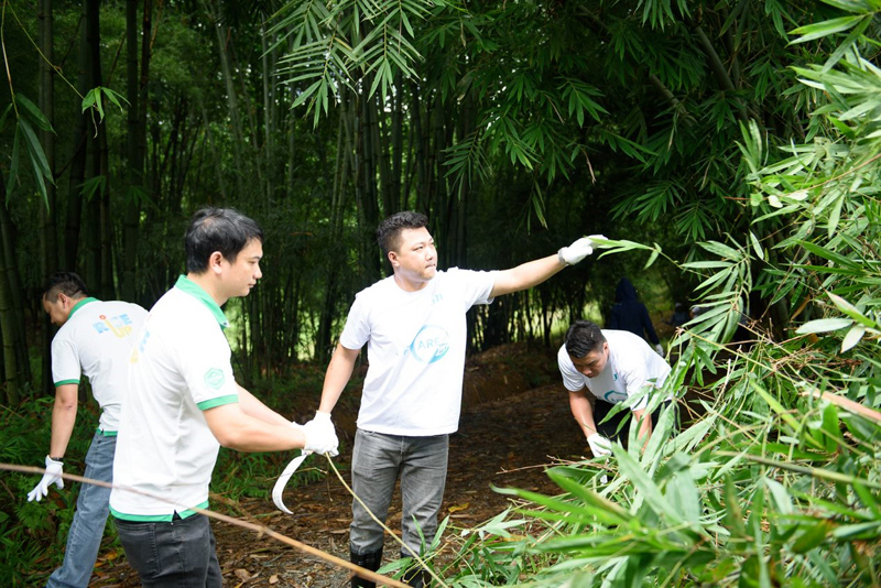Hoạt động chôn lấp tre bù đắp CO2 ở Thanh Hóa của JTI Việt Nam