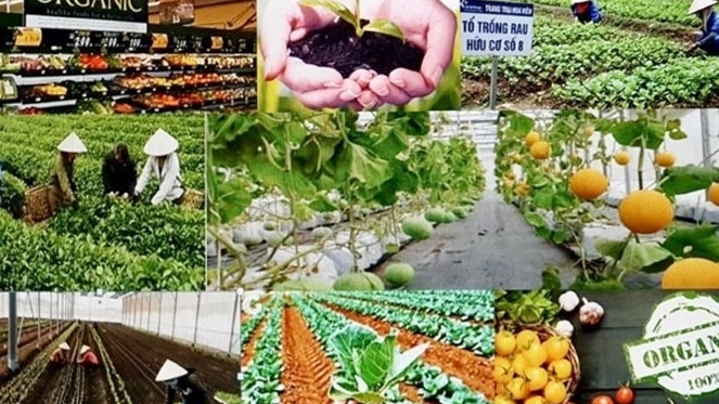 Mô hình nông nghiệp xanh, nông nghiệp hữu cơ là hướng đi tất yếu của nhiều địa phương