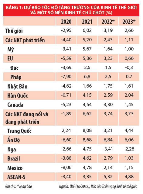 Biến động kinh tế thế giới năm 2022 và phản ứng chính sách của các nước - Ảnh 1
