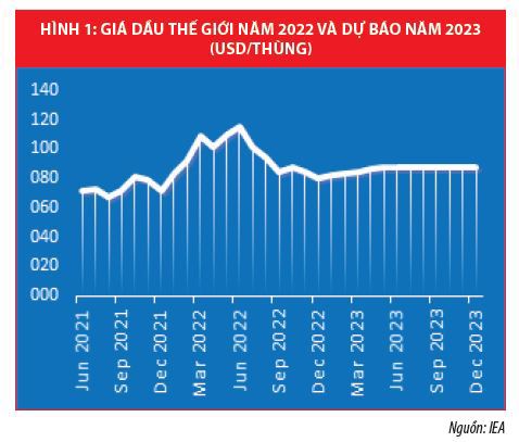Biến động kinh tế thế giới năm 2022 và phản ứng chính sách của các nước - Ảnh 2