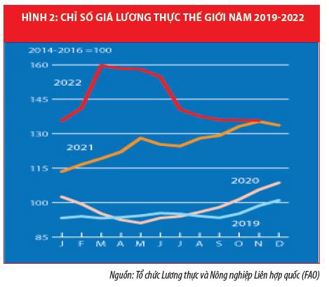 Biến động kinh tế thế giới năm 2022 và phản ứng chính sách của các nước - Ảnh 3