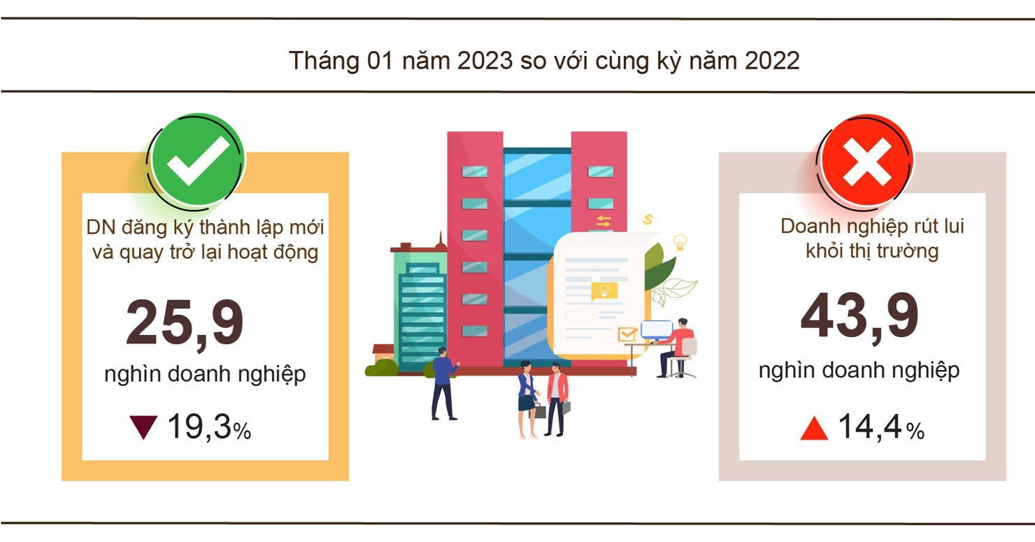 Tháng 01/2023, cả nước có 10,8 nghìn doanh nghiệp thành lập mới - Ảnh 1
