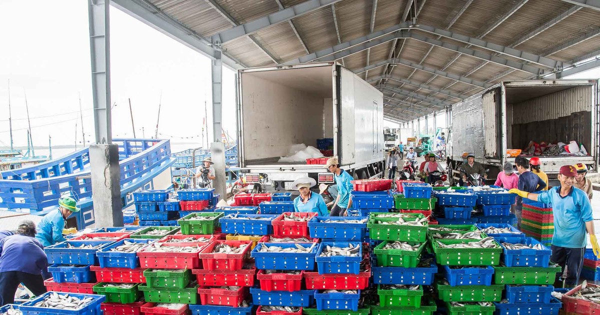 Vận chuyển thủy sản tại cảng Trần Đề, tỉnh Sóc Trăng.