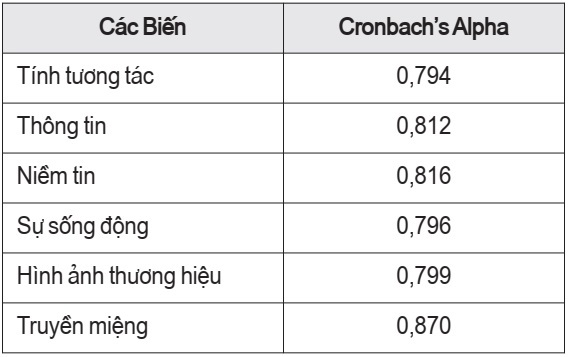 Ảnh hưởng của quảng cáo trên mạng xã hội đối với người tiêu dùng: Nghiên cứu về các ý định mua hàng trực tuyến - Ảnh 3