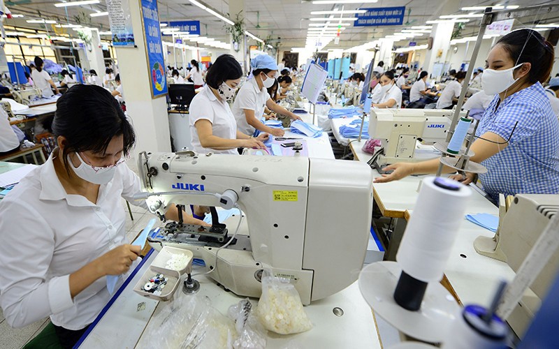 May quần áo xuất khẩu ở Tổng công ty May 10. Ảnh: Trần Tuấn.