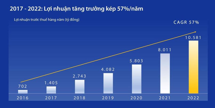 Tăng trưởng lợi nhuận hàng năm, 2017-2022 (Nguồn: BCTC, 2016-2022).