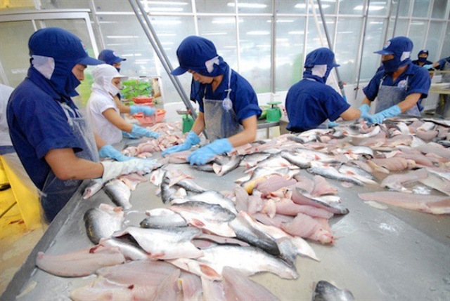 Quý I/2023, xuất khẩu cá tra sang Ả Rập Xê út khởi sắc.