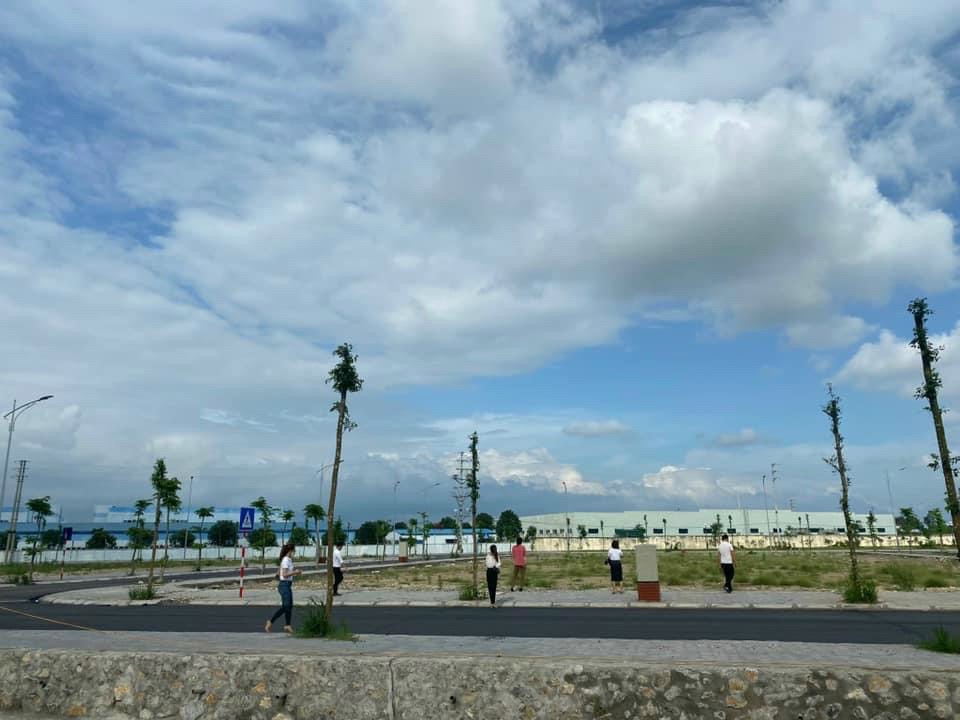 Ảnh minh họa. Nguồn: internet
