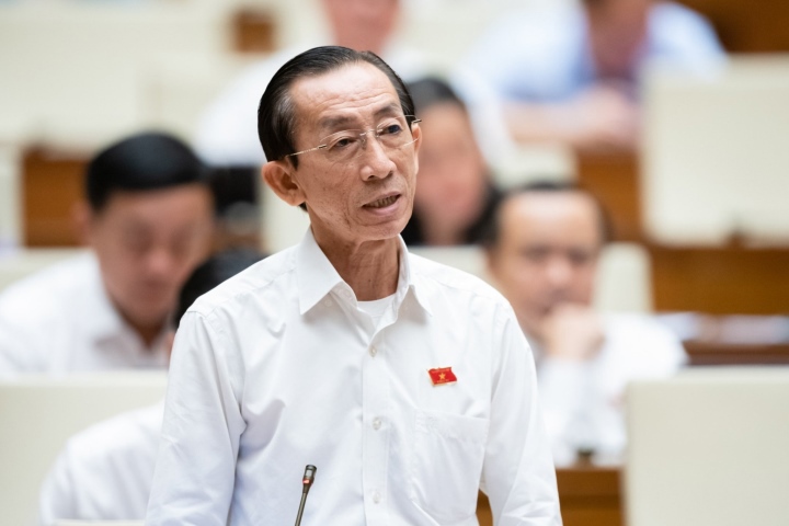 Đại biểu Trần Hoàng Ngân - Đoàn đại biểu Quốc hội TP. Hồ Chí Minh kiến nghị trước Quốc hội.