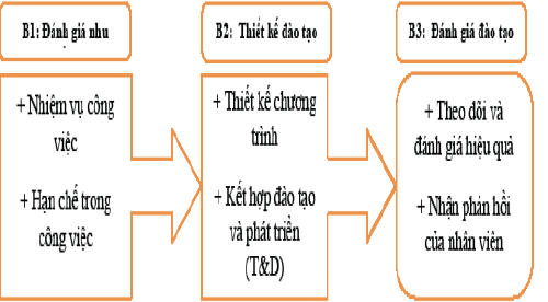  Nguồn: Rothwell (2002)