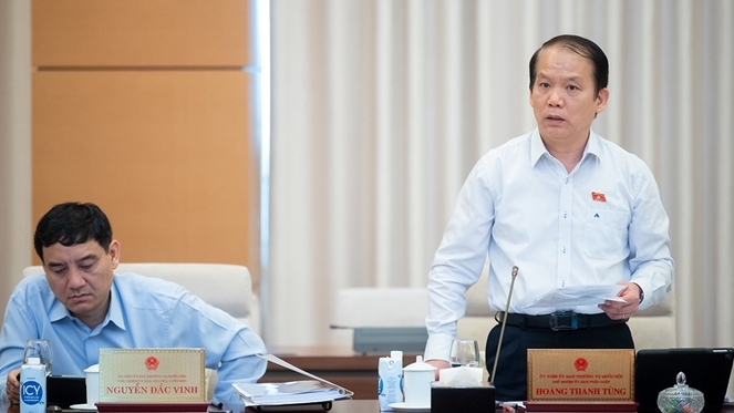 Chủ nhiệm Ủy ban Pháp luật Hoàng Thanh Tùng phát biểu. Ảnh: Hồ Long.