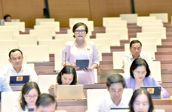 ĐBQH Nguyễn Thị Sửu (Thừa Thi&ecirc;n Huế)&nbsp;ph&aacute;t biểu tại&nbsp;hội nghị. Ảnh: L&acirc;m Hiển &nbsp;