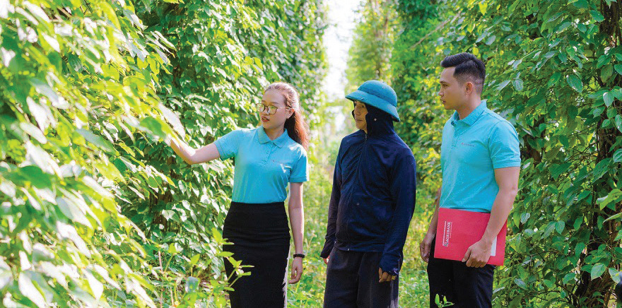 Nh&acirc;n vi&ecirc;n ng&acirc;n h&agrave;ng Agribank Ph&uacute; Y&ecirc;n tham quan m&ocirc; h&igrave;nh sản xuất n&ocirc;ng nghiệp của b&agrave; con n&ocirc;ng d&acirc;n