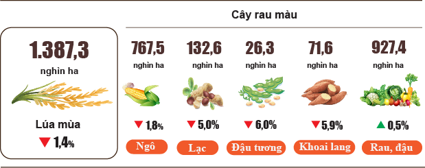 Hình 1. Diện tích gieo trồng một số cây hàng năm(Tính đến trung tuần tháng 8/2023)