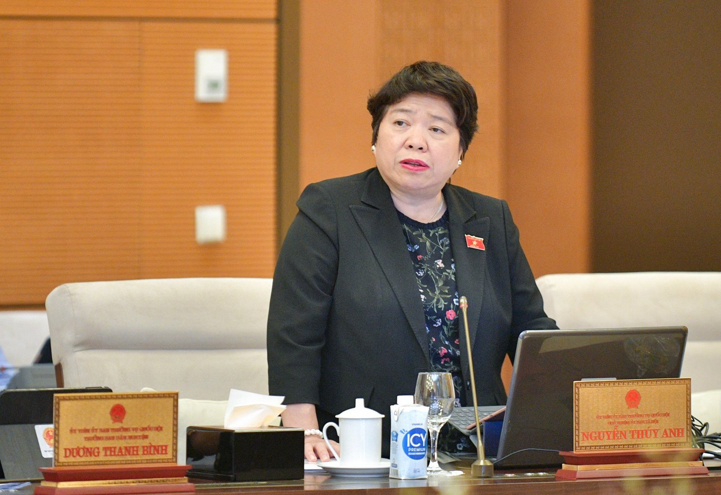 Chủ nhiệm Ủy ban Xã hội Nguyễn Thúy Anh phát biểu tại Phiên họp.