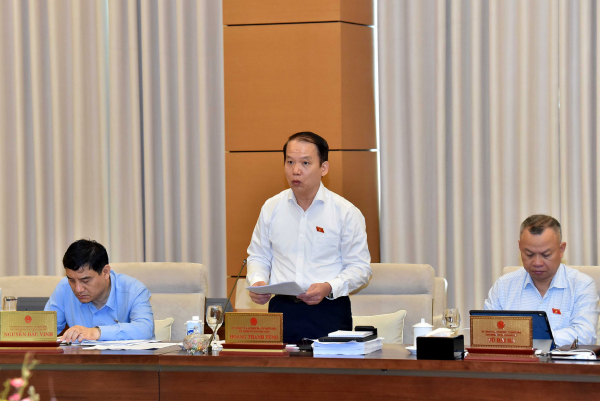 Chủ nhiệm Uỷ ban Pháp luật Hoàng Thanh Tùng phát biểu tại phiên họp. Ảnh: Lâm Hiển