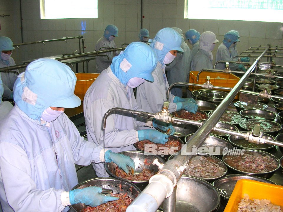 Tái sử dụng và chế biến đầu, vỏ tôm thành thực phẩm dinh dưỡng cần được khuyến khích phát triển. Ảnh: K.T