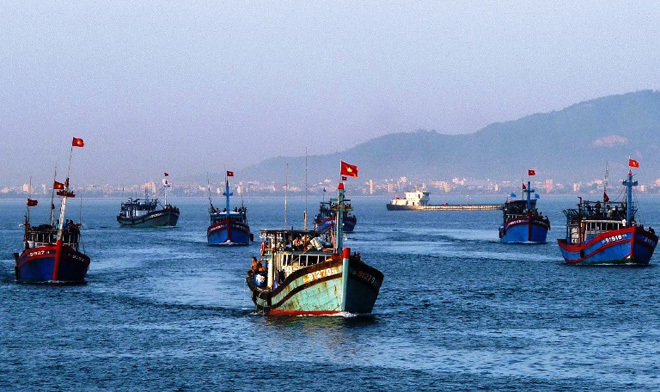 Đà Nẵng phát triển ngành Thủy sản theo hướng bền vững gắn với bảo vệ môi trường.