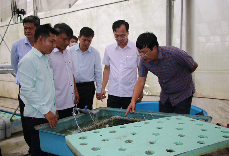 Lãnh đạo tỉnh Đồng Tháp thăm Công ty TNHH Nông sản Đồng Tháp Aqua (xã Bình Thạnh Trung, huyện Lấp Vò). Ảnh: Nhật Nam