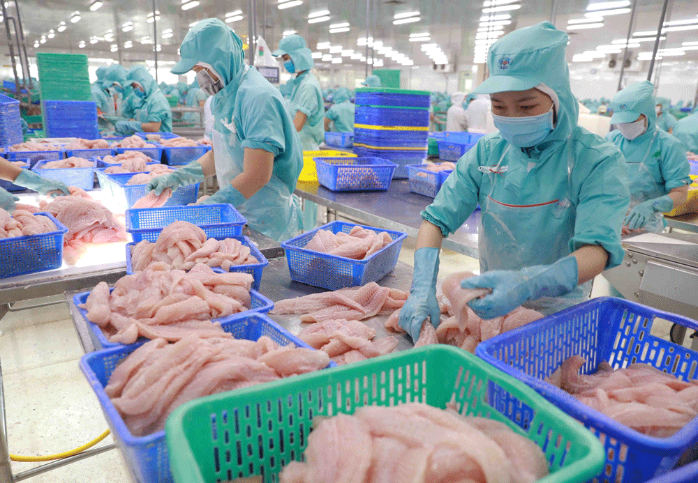 Tỷ trọng thủy sản Việt Nam tại Mexico đã tăng từ 1% lên 1,3 % sau 4 thực thi Hiệp định CPTPP.