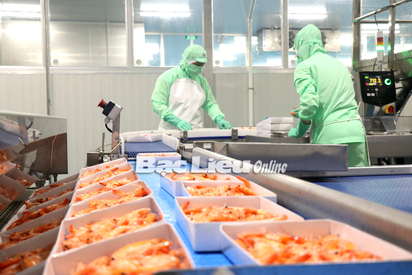 Chế biến tôm xuất khẩu tại Tập đoàn Việt - Úc. Ảnh: K.T