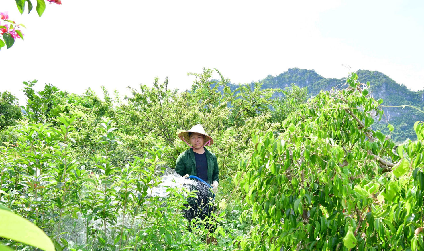 Các địa phương không xác định được chính xác số liệu huy động vốn thực hiện Chương trình năm 2021, 2022 đối với nguồn vốn NSNN giao hỗ trợ có mục tiêu cho các huyện, xã. Ảnh minh họa: N.LỘC