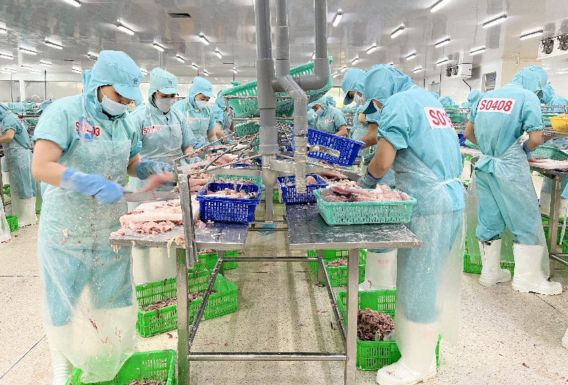 Chế biến cá tra xuất khẩu tại nhà máy. Ảnh: Nhật Nam