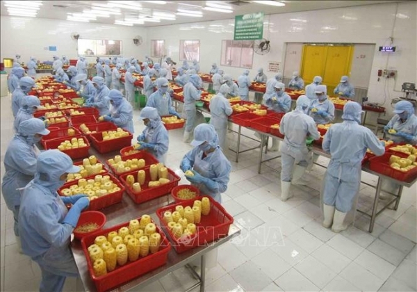 Hiệp định EVFTA tăng lợi thế cho hàng Việt vào thị trường Pháp. Ảnh: TTXVN