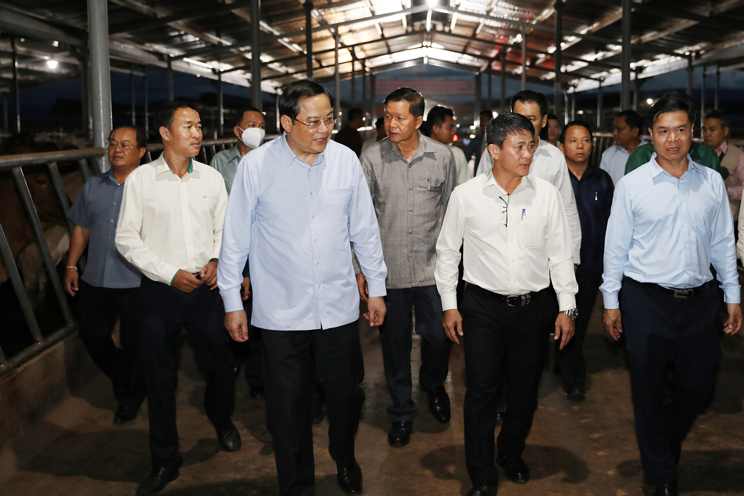 Thủ tướng và Đoàn đại biểu tham quan Trại bò bán chăn thả thuộc Xí nghiệp Bò BSA1