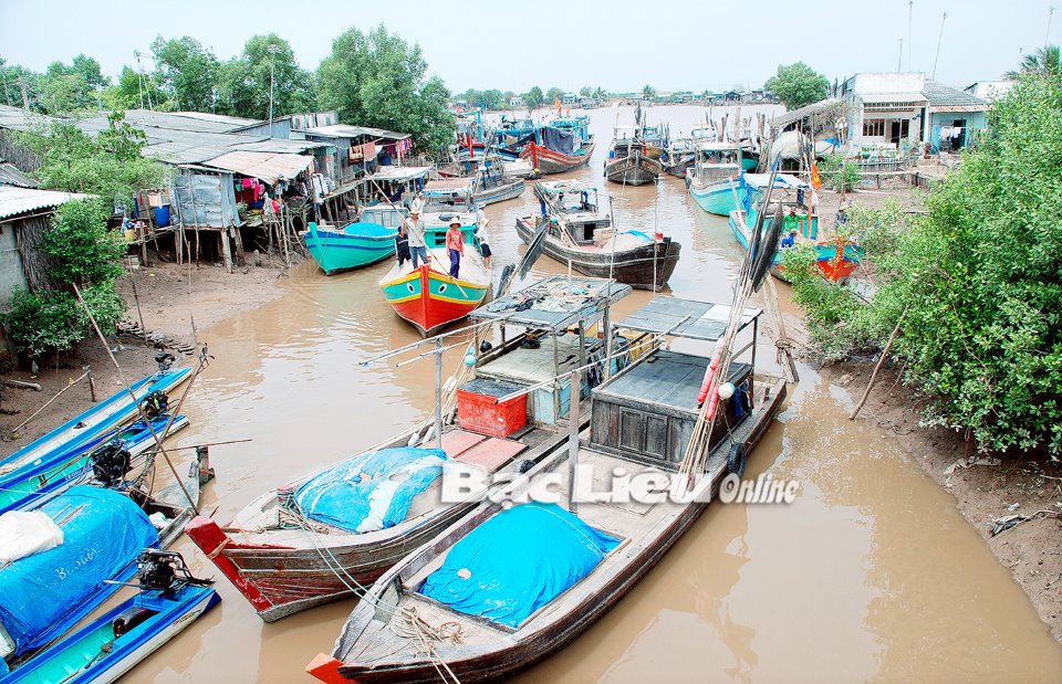 Phần lớn phương tiện khai thác thủy sản của tỉnh đều khai thác gần bờ nên hiệu quả kinh tế mang lại không cao. Ảnh: L.D
