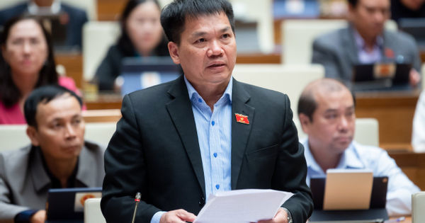 Đại biểu Quốc hội Dương Khắc Mai phát biểu thảo luận. Ảnh: VPQH